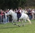 Landpartie   135